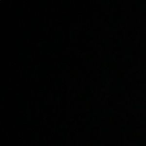 Meet your Posher, Maddy